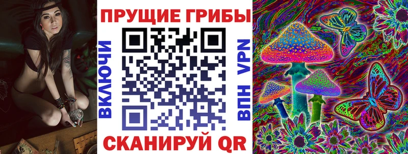 Псилоцибиновые грибы прущие грибы  мега маркетплейс  Гаджиево  закладки 